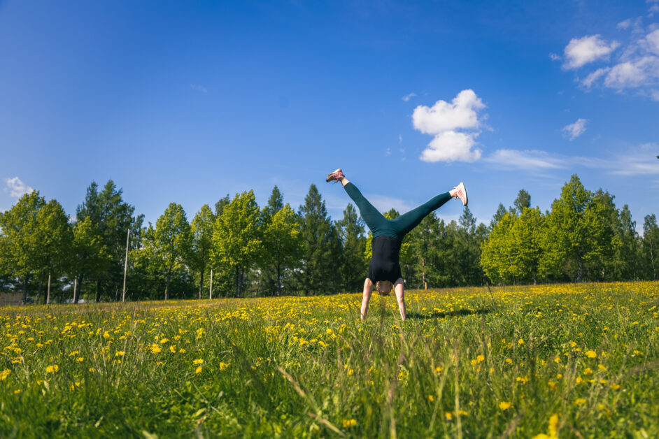 SportEdu, Liikunta-alan koulutukset, kuvituskuva
